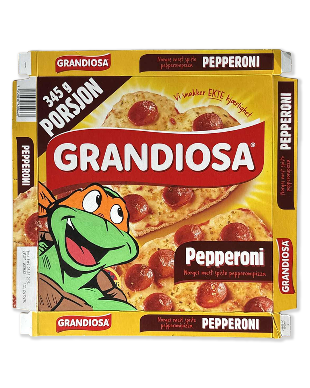 MICHELANGELO’S CHOICE